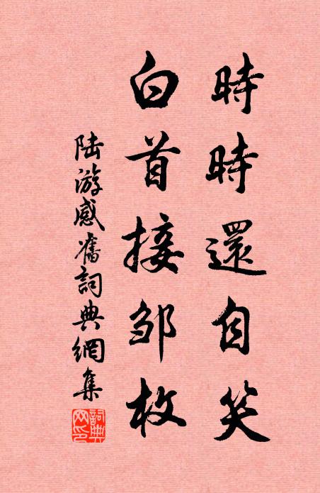 陆游时时还自笑，白首接邹枚书法作品欣赏