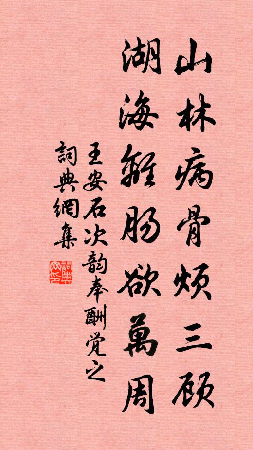 王安石山林病骨烦三顾，湖海离肠欲万周书法作品欣赏