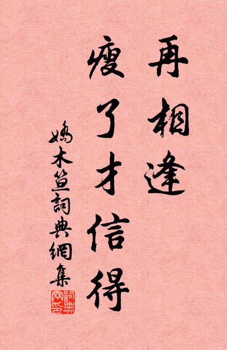 佚名再相逢、瘦了才信得书法作品欣赏