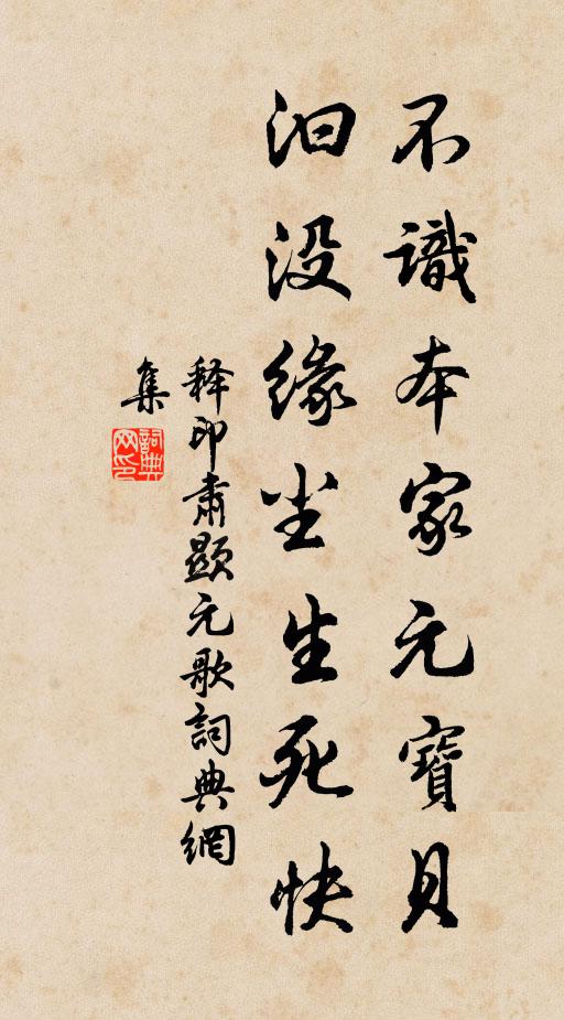 释印肃不识本家元宝贝，汩没缘尘生死快书法作品欣赏