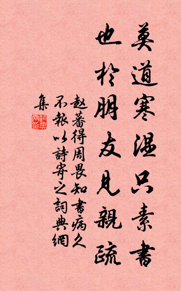 赵蕃莫道寒温只素书，也于朋友见亲疏书法作品欣赏