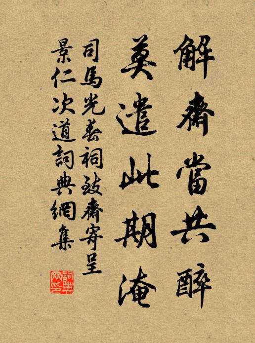 司马光解斋当共醉，莫遣此期淹书法作品欣赏