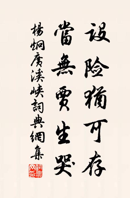 杨炯设险犹可存，当无贾生哭书法作品欣赏