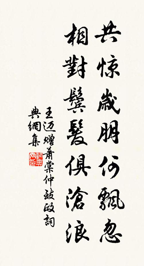 王迈共惊岁朋何飘忽，相对鬓发俱沧浪书法作品欣赏