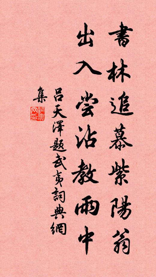吕天泽书林追慕紫阳翁，出入尝沾教雨中书法作品欣赏