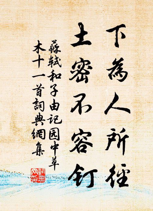 苏轼下为人所径，土密不容钉书法作品欣赏
