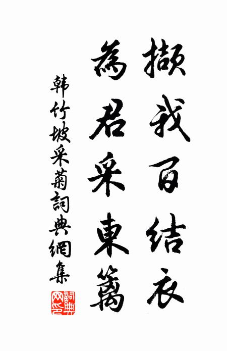 韩竹坡撷我百结衣，为君采东篱书法作品欣赏