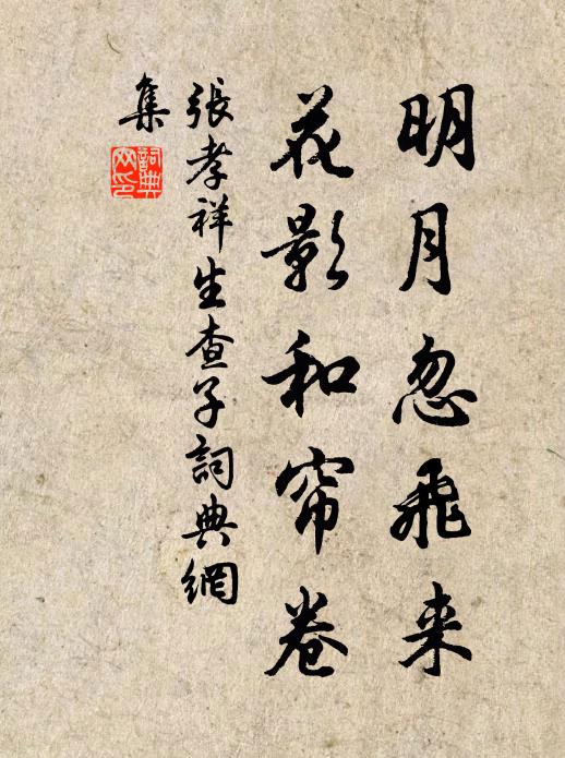 张孝祥明月忽飞来，花影和帘卷书法作品欣赏