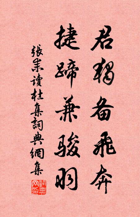 张耒君独备飞奔,捷蹄兼骏羽书法作品欣赏