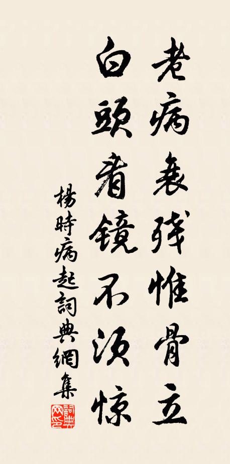 杨时老病衰残惟骨立，白头看镜不须惊书法作品欣赏