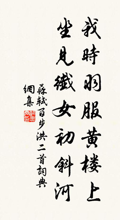 苏轼我时羽服黄楼上，坐见纤女初斜河书法作品欣赏