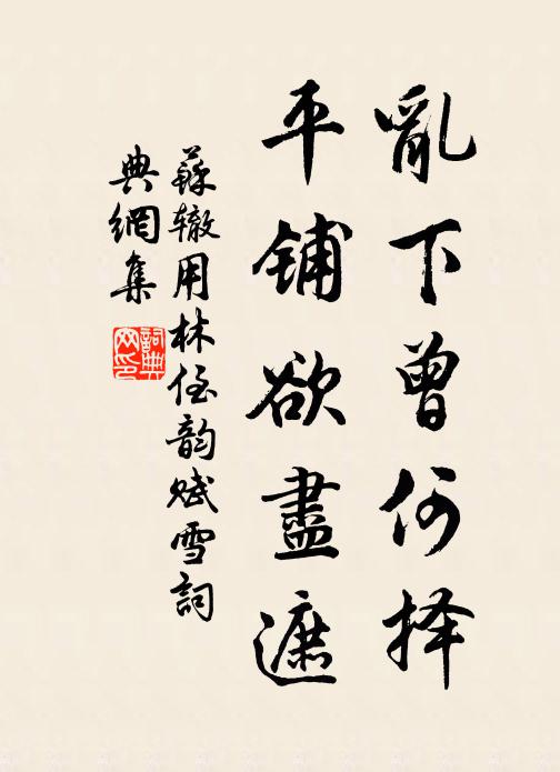 苏辙乱下曾何择，平铺欲尽遮书法作品欣赏