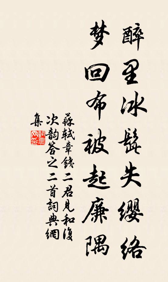 苏轼醉里冰髭失缨络，梦回布被起廉隅书法作品欣赏