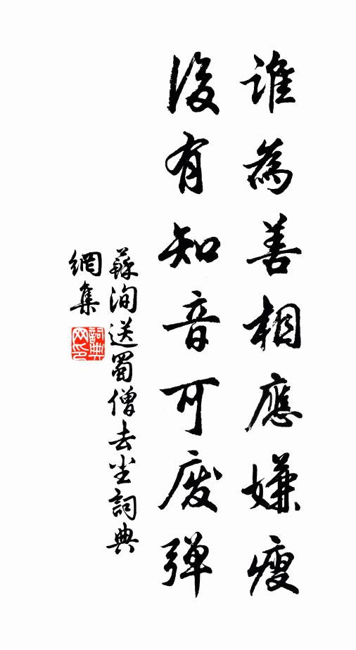 苏洵谁为善相应嫌瘦，后有知音可废弹书法作品欣赏