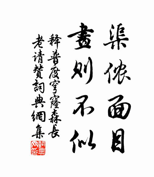 释普度渠侬面目，画则不似书法作品欣赏
