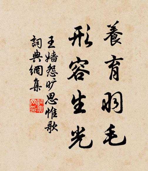 王嫱养育羽毛，形容生光书法作品欣赏
