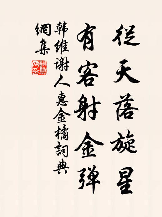 韩维从天落旋星，有客射金弹书法作品欣赏