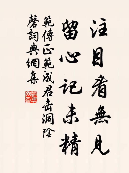 范传正注目看无见，留心记未精书法作品欣赏