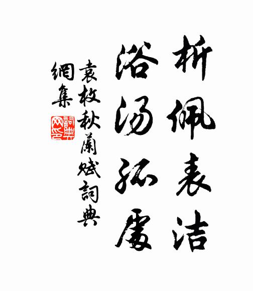 袁枚析佩表洁,浴汤孤处书法作品欣赏