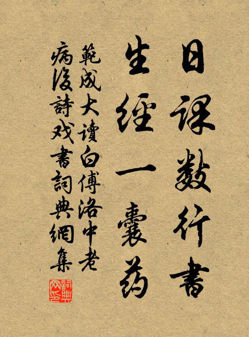 范成大日课数行书，生经一囊药书法作品欣赏