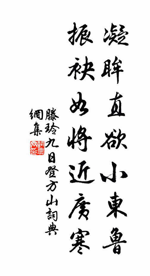 滕玲凝眸直欲小东鲁，振袂如将近广寒书法作品欣赏