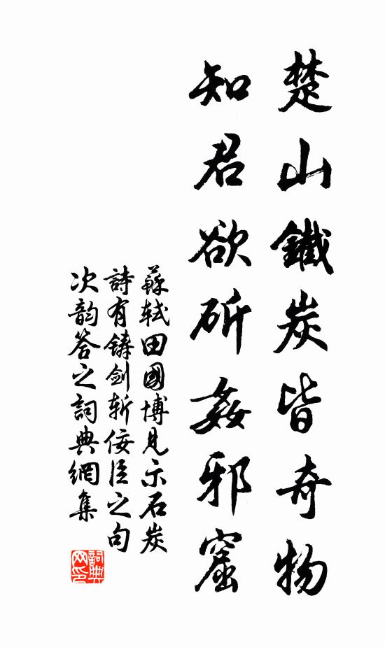 苏轼楚山铁炭皆奇物，知君欲斫奸邪窟书法作品欣赏