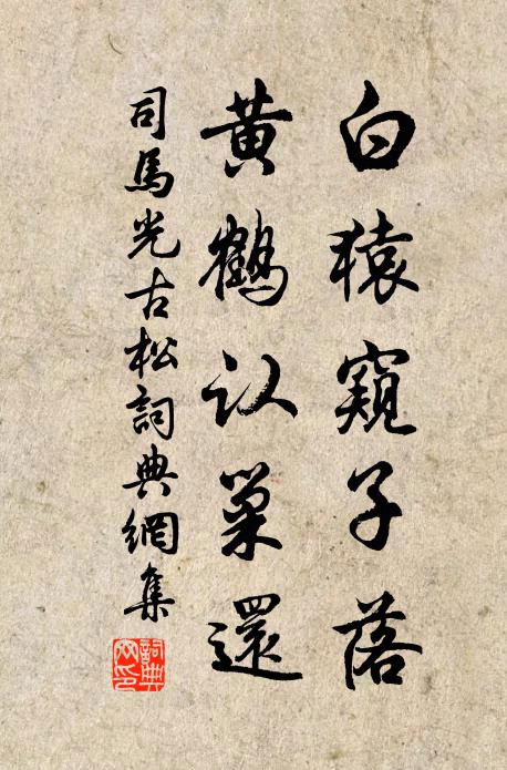 司马光白猿窥子落，黄鹤认巢还书法作品欣赏