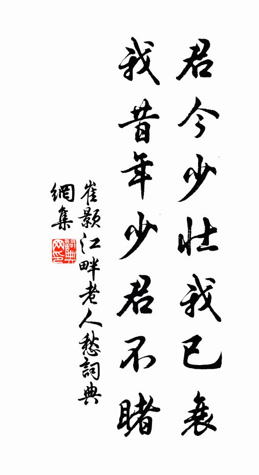 崔颢君今少壮我已衰，我昔年少君不睹书法作品欣赏