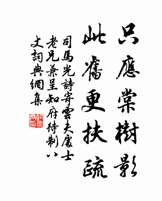 司马光只应棠树影，此旧更扶疏书法作品欣赏