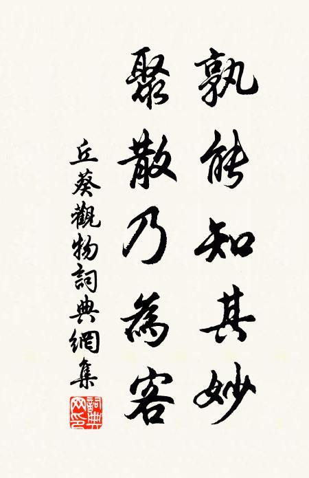 丘葵孰能知其妙，聚散乃为客书法作品欣赏