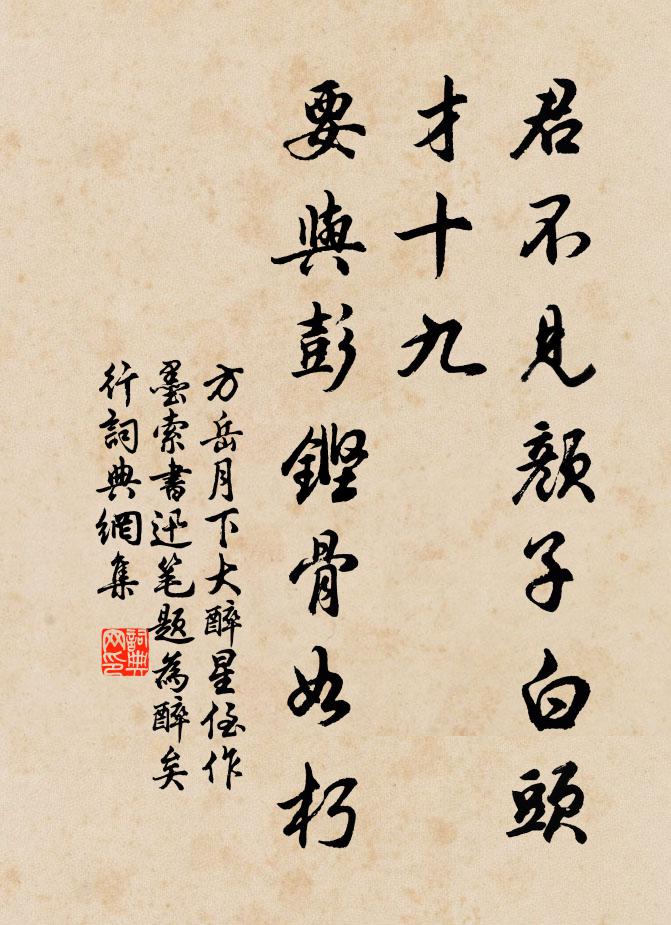 方岳君不见颜子白头才十九，要与彭铿骨如朽书法作品欣赏