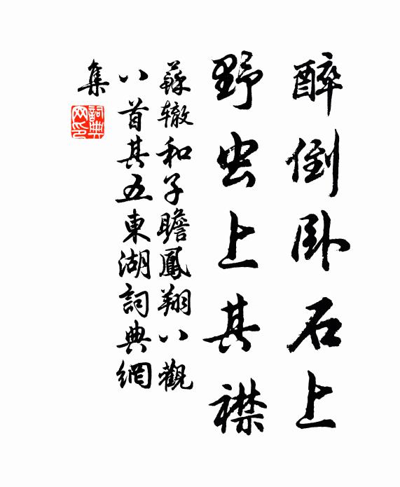 苏辙醉倒卧石上,野虫上其襟书法作品欣赏