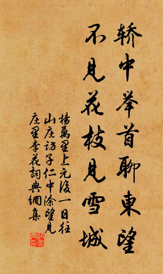 杨万里轿中举首聊东望，不见花枝见雪城书法作品欣赏