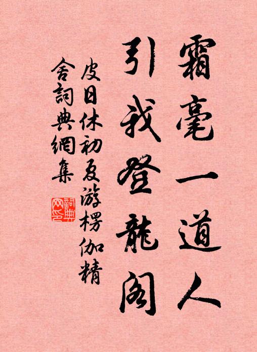 皮日休霜毫一道人，引我登龙阁书法作品欣赏