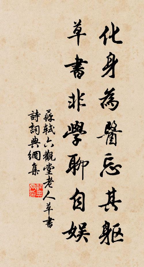 苏轼化身为医忘其躯，草书非学聊自娱书法作品欣赏