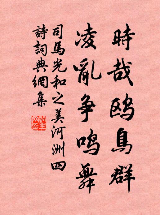 司马光时哉鸥鸟群，凌乱争鸣舞书法作品欣赏