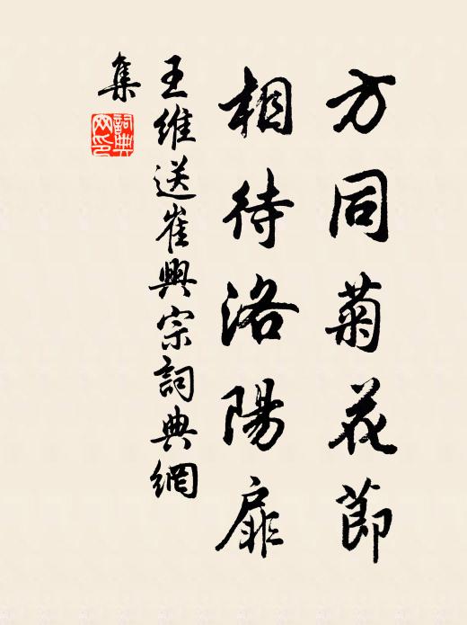 王维方同菊花节，相待洛阳扉书法作品欣赏