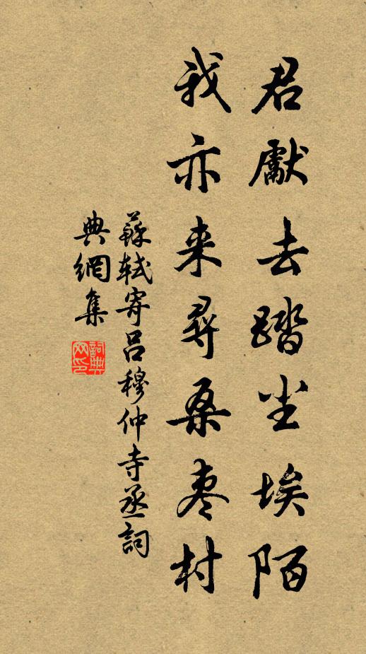 苏轼君先去踏尘埃陌，我亦来寻桑枣村书法作品欣赏