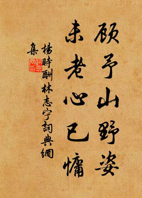 杨时顾予山野姿，未老心已慵书法作品欣赏