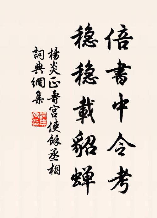 杨炎正倍书中令考，稳稳载貂蝉书法作品欣赏