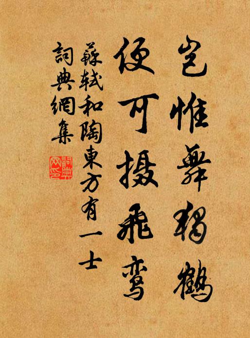 苏轼岂惟舞独鹤，便可摄飞鸾书法作品欣赏