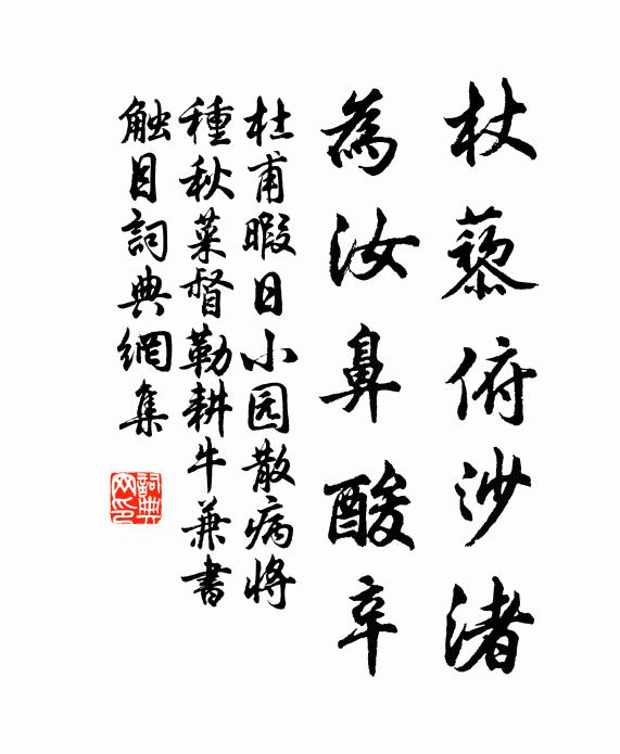 杜甫杖藜俯沙渚，为汝鼻酸辛书法作品欣赏