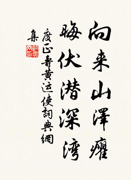 度正向来山泽癯，晦伏潜深湾书法作品欣赏