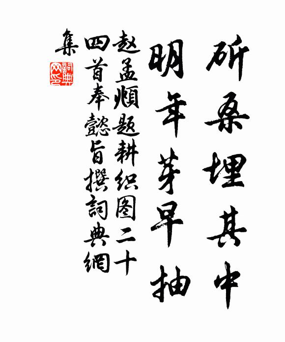 赵孟頫斫桑埋其中，明年芽早抽书法作品欣赏