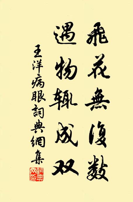 王洋飞花无复数，遇物辄成双书法作品欣赏