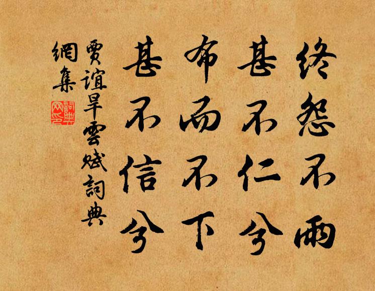 贾谊终怨不雨，甚不仁兮；布而不下，甚不信兮书法作品欣赏