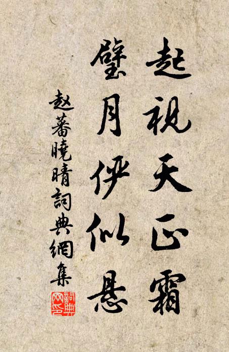 赵蕃起视天正霜，璧月俨似悬书法作品欣赏