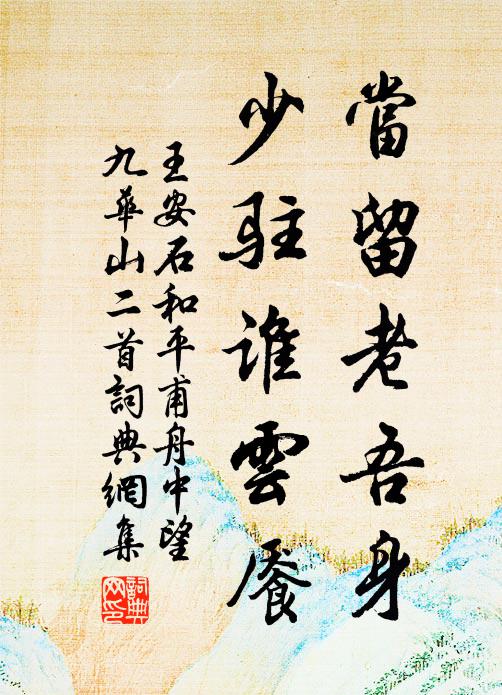 王安石当留老吾身,少驻谁云餍书法作品欣赏