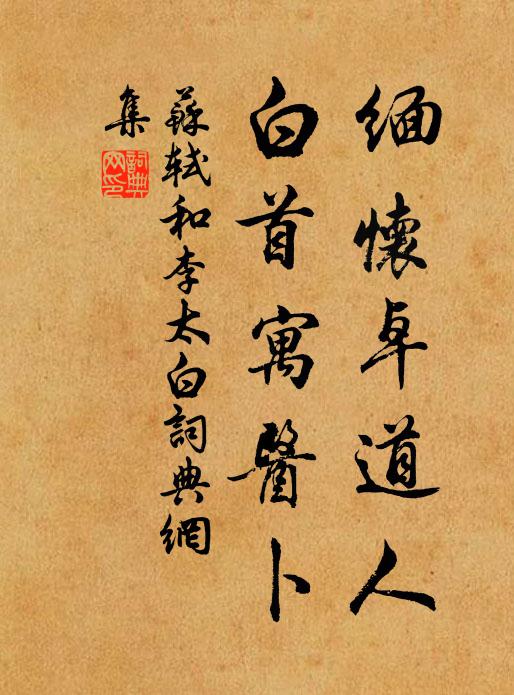 苏轼缅怀卓道人，白首寓医卜书法作品欣赏