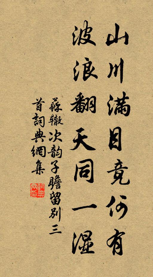 苏辙山川满目竟何有，波浪翻天同一湿书法作品欣赏